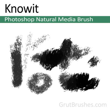 Photoshop Natural Media for digital artists 'Knowit'