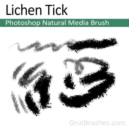 Photoshop Natural Media Brush for digital artists 'Lichen Tick'