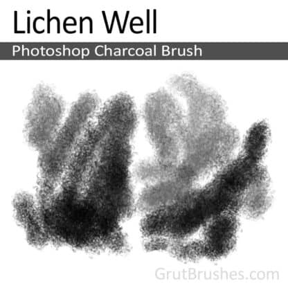 Lichen Well - Photoshop Charcoal Brush