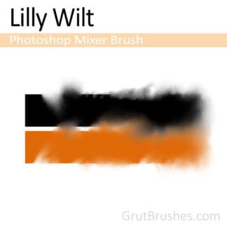 Lilly Wilt - Photoshop Mixer Brush