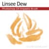 Linsee Dew - Impasto Oil Photoshop Brush