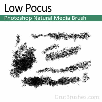 Photoshop Natural Media Brush for digital artists 'Low Pocus'