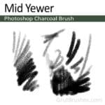 'Mid Yewer' - Photoshop Charcoal Brush