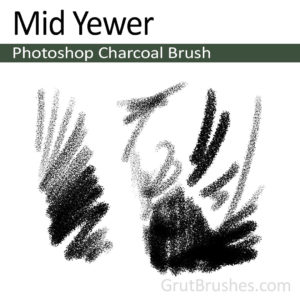 "Mid Yewer" Charcoal Brush for Photoshop