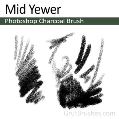 Mid Yewer - Photoshop Charcoal Brush