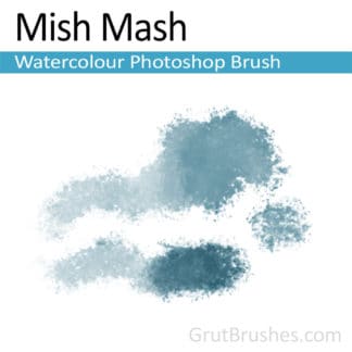 Photoshop Watercolour Brush for digital artists 'Mish Mash'