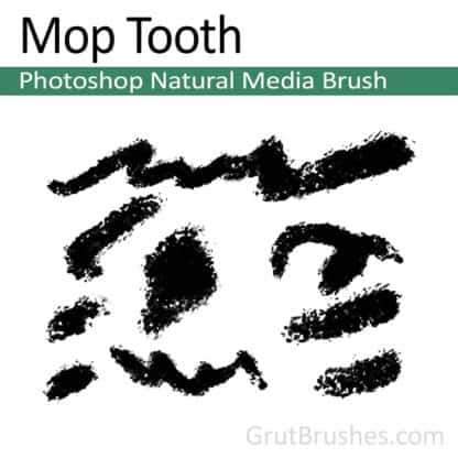 Photoshop Natural Media Brush for digital artists 'Mop Tooth'