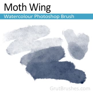 Moth Wing - Photoshop Watercolour Brush