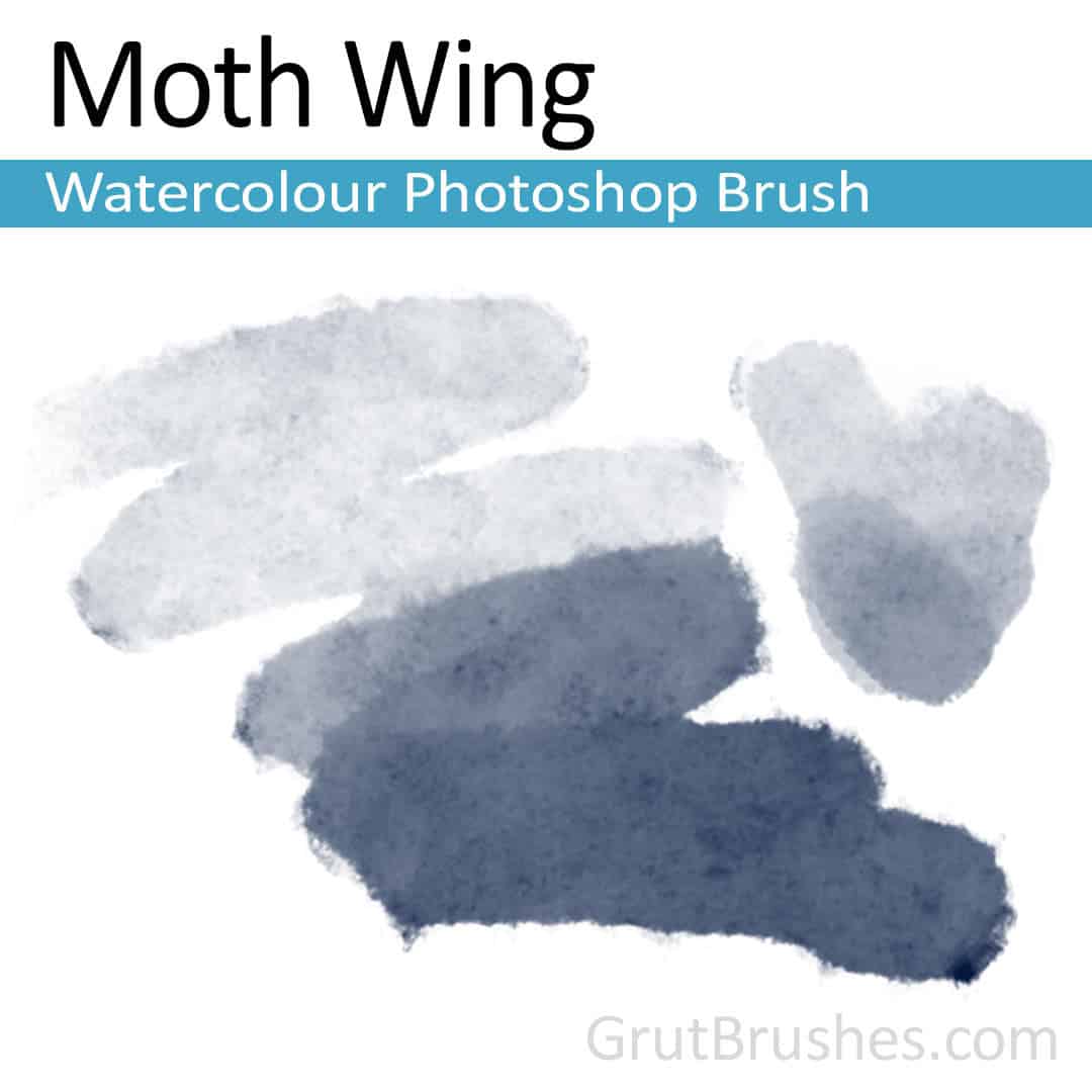 'Moth Wing' Photoshop watercolor brush for digital painting