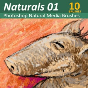 Natural Media 01 - 10 Photoshop Brushes