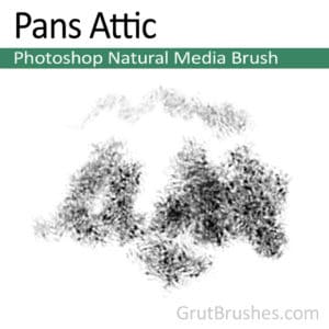Pans Attic - Photoshop Natural Media Brush
