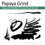'Papaya Grind' Natural Media Photoshop Brush