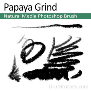 Papaya Grind - Photoshop Pastel Brush