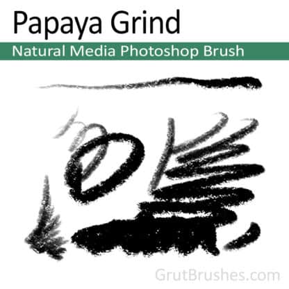 Papaya Grind - Photoshop Pastel Brush