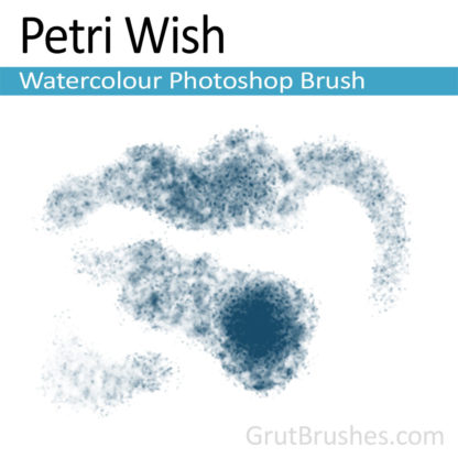 Photoshop Water Colour Brush for digital artists 'Petri Wish'