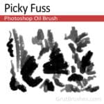 "Picky Fuss" Realistic Photoshop oil brush