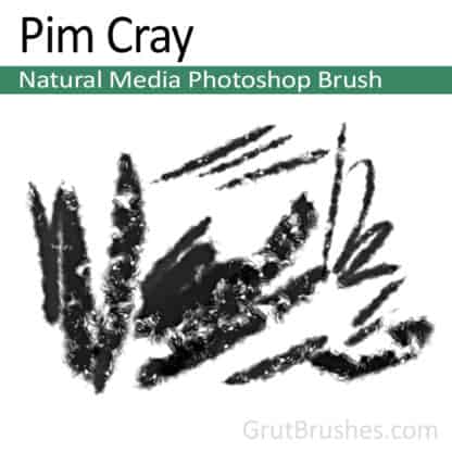 Pim Cray - Photoshop Natural Media Brush