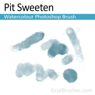 Photoshop Watercolor for digital artists 'Pit Sweeten'