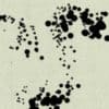 Pointy Pop - Pointillist Photoshop Brush