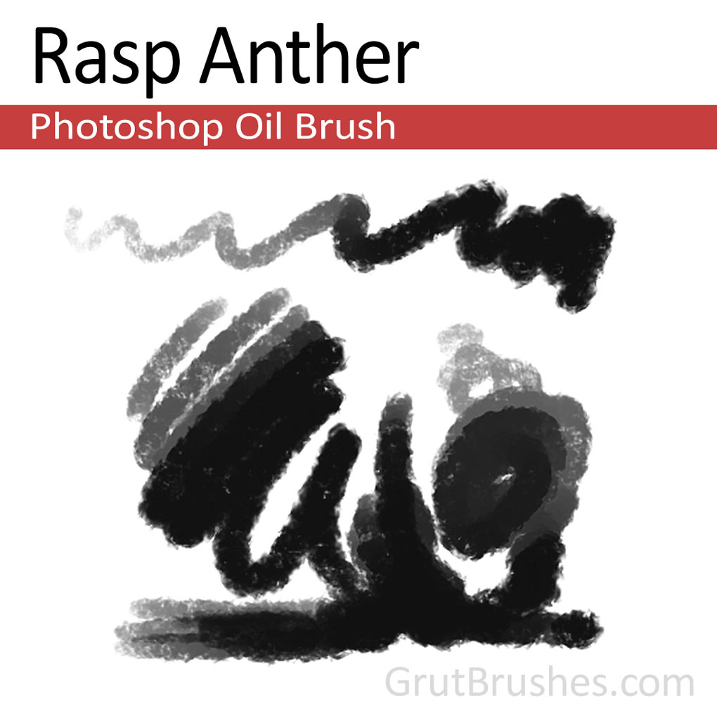 'Rasp Anther' Photoshop oil brush for digital painting