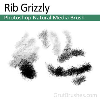 Photoshop Natural Media Brush for digital artists 'Rib Grizzly'