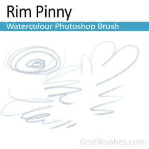 Photoshop Watercolor Brush for digital artists 'Rim Pinny'