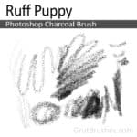 'Ruff Puppy' - Photoshop Charcoal Brush