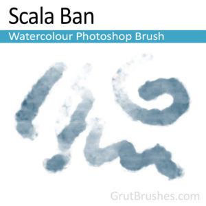 Photoshop Water Colour Brush for digital artists 'Scala Ban'