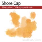 Lalo Salsa Photoshop impasto brush