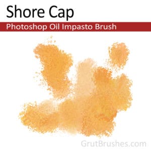 Shore Cap - Impasto Oil Photoshop Brush