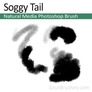 'Soggy Tail' Photoshop Natural Media Brush for digital artists