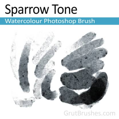 Sparrow Tone - Photoshop Watercolour Brush