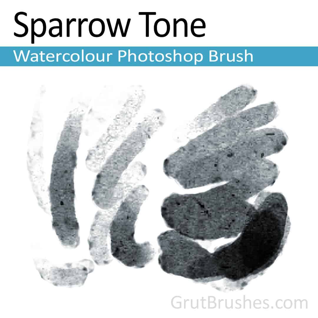 'Sparrow Tone' Photoshop watercolor brush for digital painting