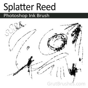 Splatter Reed - Photoshop Ink Brush