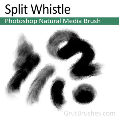 Photoshop Natural Media Brush for digital artists 'Split Whistle'