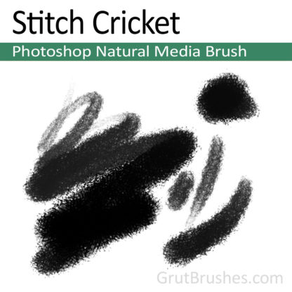 Photoshop Natural Media for digital artists 'Stitch Cricket'