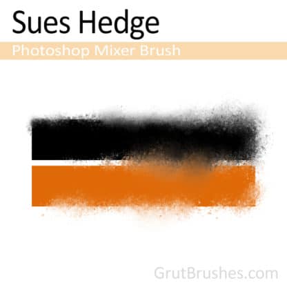 Sues Hedge - Photoshop Mixer Brush