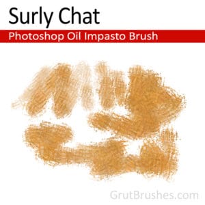 Surly Chat - Photoshop Impasto Oil Brush