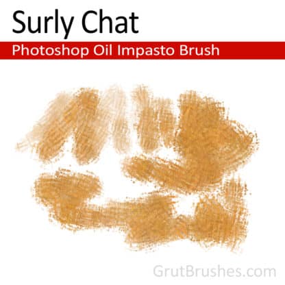 Surly Chat - Photoshop Impasto Oil Brush