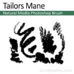 'Tailors Mane' Photoshop Natural Media brush
