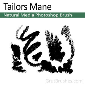 'Tailors Mane' Photoshop Pastel Brush