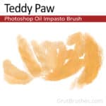 Photoshop impasto brush 'Teddy Paw'