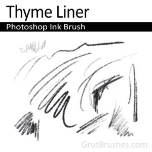 'Thyme Liner' Photoshop Ink Brush for digital artists