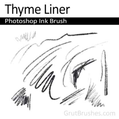 Thyme Liner - Photoshop Ink Brush