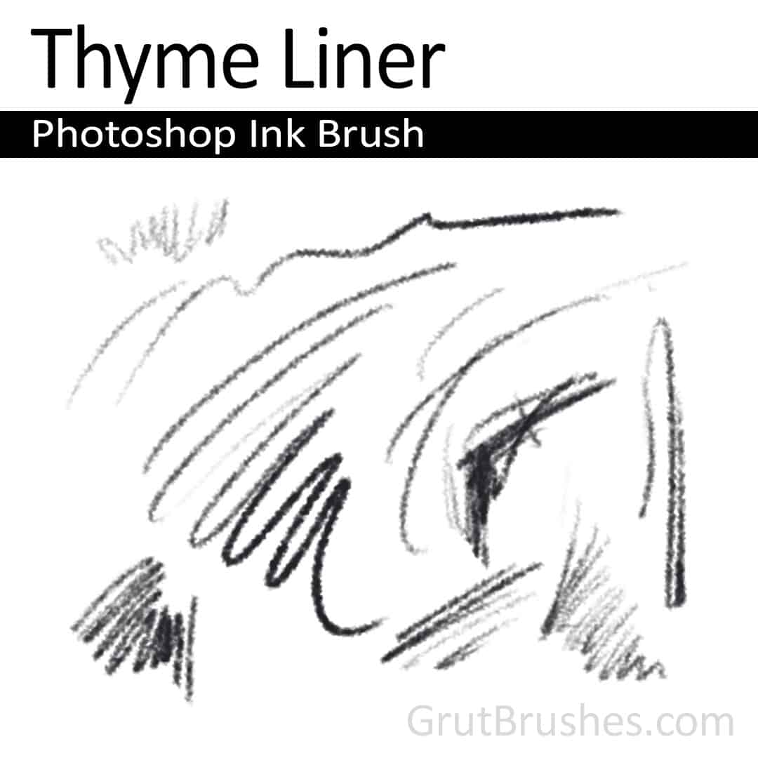 'Thyme Liner' Photoshop ink brush for digital painting