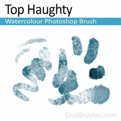 Photoshop Watercolour Brush for digital artists 'Top Haughty'
