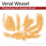 Photoshop Impasto oil paint 'Venal Weasel'