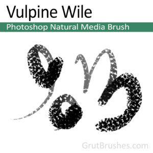 Vulpine Wile - Photoshop Natural Media Brush