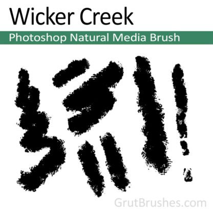 Photoshop Natural Media Brush for digital artists 'Wicker Creek'