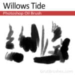 Digital oil paint brush for Photoshop